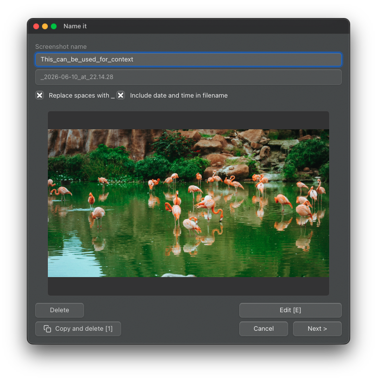 ShotFile rename window